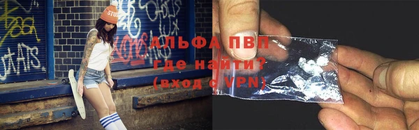 PSILOCYBIN Гусев