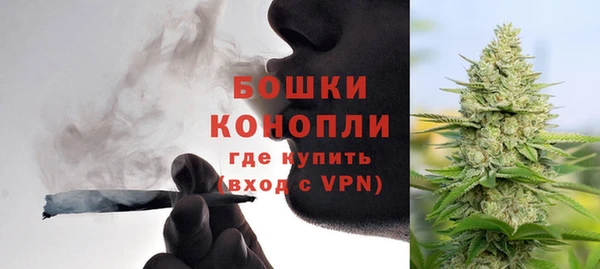 ГАЛЛЮЦИНОГЕННЫЕ ГРИБЫ Горно-Алтайск