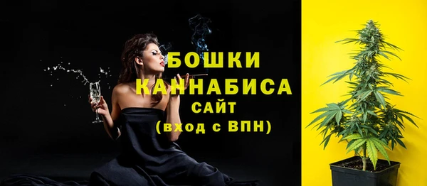 гашик Гусиноозёрск