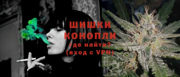 стафф Гвардейск