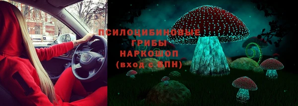 ГАЛЛЮЦИНОГЕННЫЕ ГРИБЫ Горно-Алтайск